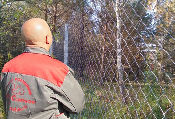 Заборы из сетки - рабица